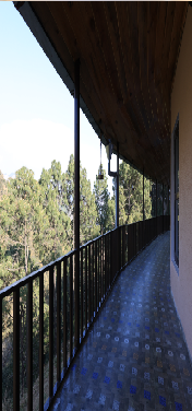 forest resort in nainital